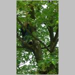 p1010142 [800x600].jpg